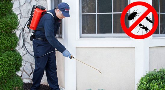 Hayrabolu Fare İlaçlama böcek ilaçlama ve haşere kontrolü — ilaclama-tr.com